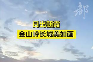 邮报投票调查：53%参与者认为阿隆索下赛季会执教利物浦